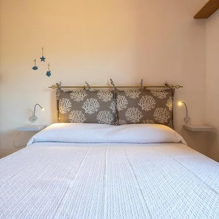 Perla Di 14p *